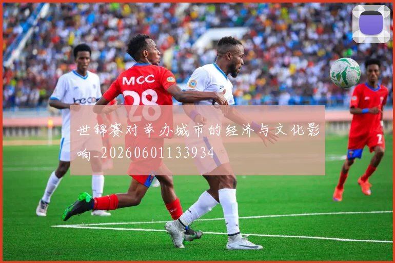 世锦赛对举办城市的经济与文化影响_20260601133934